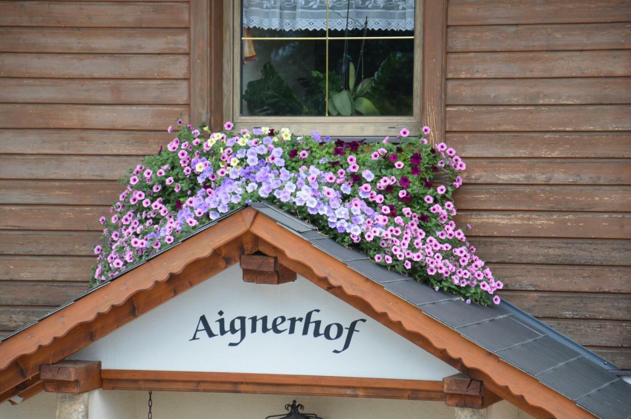 Aignerhof Villa Haus im Ennstal Bagian luar foto